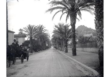 Iconographie - Avenue avec palmiers