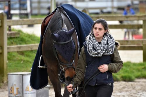 Iconographie - Formation aux métiers du cheval MFR