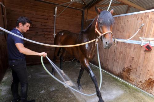 Iconographie - Formation aux métiers du cheval MFR