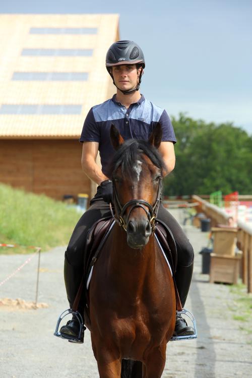 Iconographie - Formation aux métiers du cheval MFR