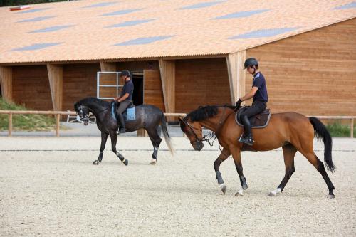 Iconographie - Formation aux métiers du cheval MFR