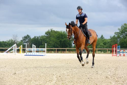 Iconographie - Formation aux métiers du cheval MFR