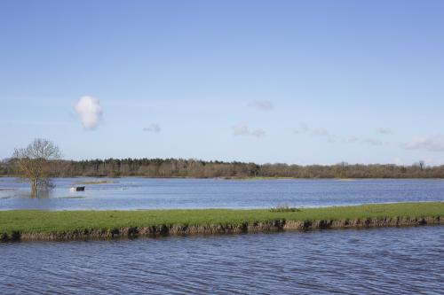 Iconographie - Inondations des marais de Sallertaine après de fortes pluies 