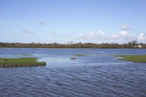 Iconographie - Inondations des marais de Sallertaine après de fortes pluies 