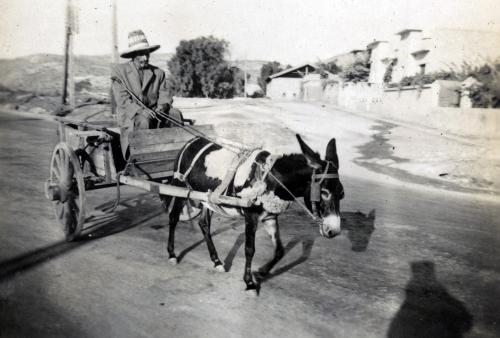 Iconographie - Algérie - Oran, voiture indigène