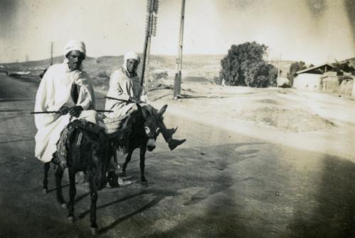 Iconographie - Algérie - Oran, montures indigène