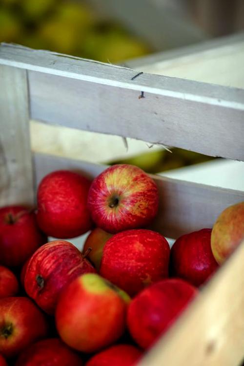 Iconographie - Pommes biologiques, à la boutique Le Vrac d'Elo