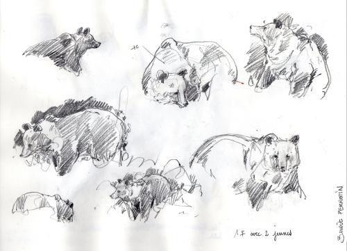 Iconographie - Ours - Femelle avec 2 oursons, selon Benoît Perrotin