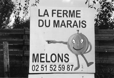 Iconographie - Panneau : Melon, la ferme du Marais