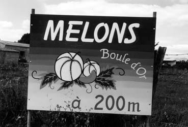 Iconographie - Panneau : Melons, Boule d'Or