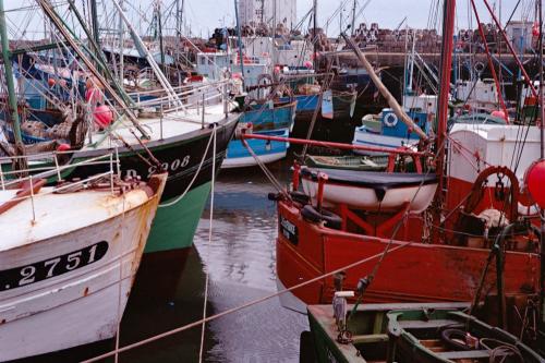 Iconographie - Photos de bateaux de pêche dans les ports