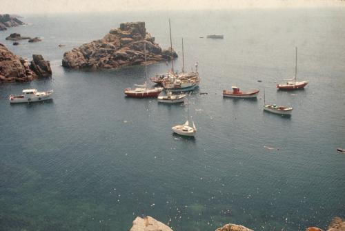 Iconographie - Photos de bateaux de pêche dans les ports