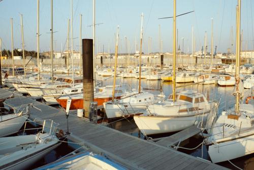 Iconographie - Vue du port de Saint-Gilles-Croix-de-Vie