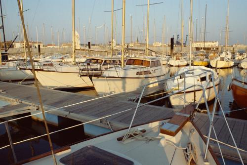 Iconographie - Vue du port de Saint-Gilles-Croix-de-Vie