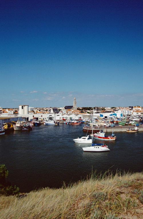 Iconographie - Vue du port de Saint-Gilles-Croix-de-Vie