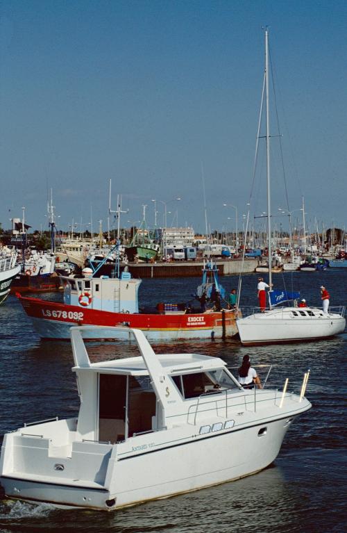 Iconographie - Vue du port de Saint-Gilles-Croix-de-Vie