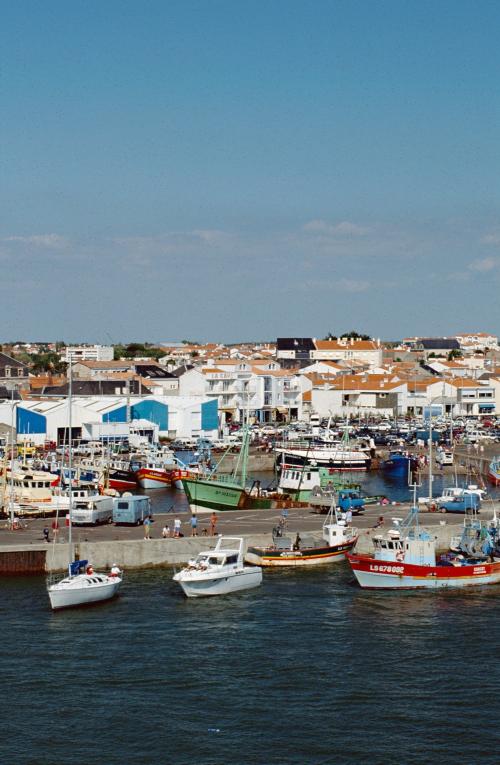 Iconographie - Vue du port de Saint-Gilles-Croix-de-Vie