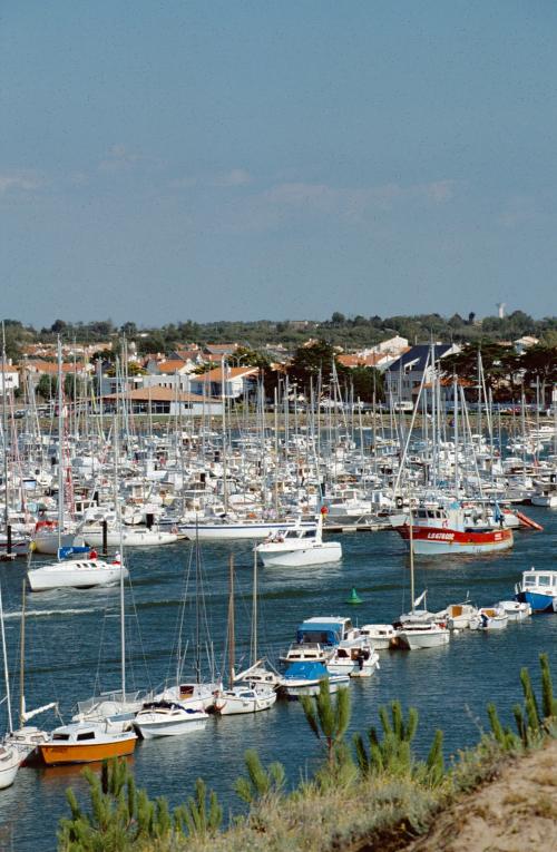 Iconographie - Vue du port de Saint-Gilles-Croix-de-Vie