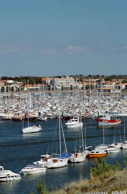 Iconographie - Vue du port de Saint-Gilles-Croix-de-Vie