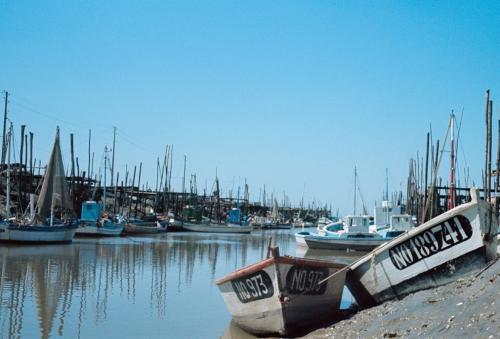 Iconographie - Bateaux en bois dans le port de Saint-Gilles