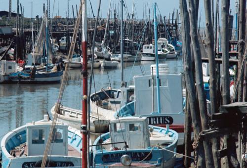 Iconographie - Bateaux en bois dans le port de Saint-Gilles