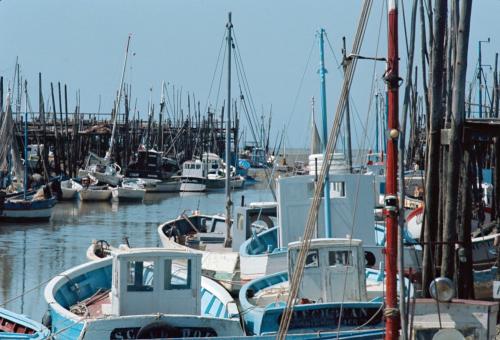 Iconographie - Bateaux en bois dans le port de Saint-Gilles