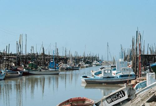 Iconographie - Bateaux en bois dans le port de Saint-Gilles