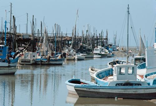 Iconographie - Bateaux en bois dans le port de Saint-Gilles