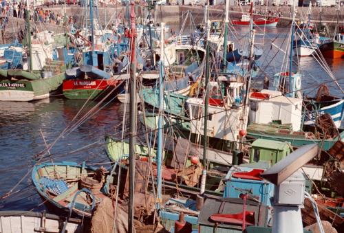 Iconographie - Bateaux en bois dans le port de Saint-Gilles