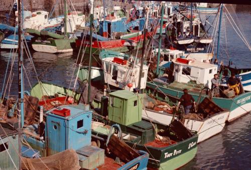 Iconographie - Bateaux en bois dans le port de Saint-Gilles