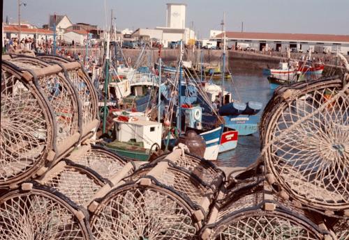 Iconographie - Bateaux en bois dans le port de Saint-Gilles