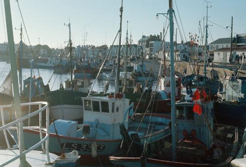 Iconographie - Bateaux en bois dans le port de Saint-Gilles