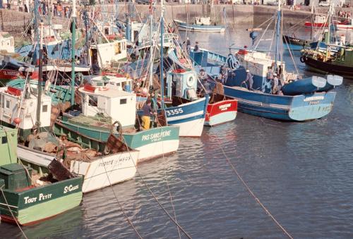 Iconographie - Bateaux en bois dans le port de Saint-Gilles