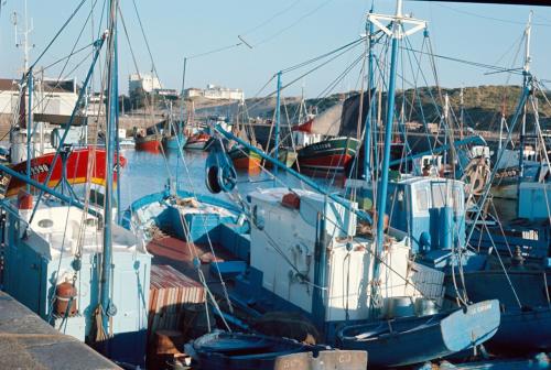 Iconographie - Bateaux en bois dans le port de Saint-Gilles