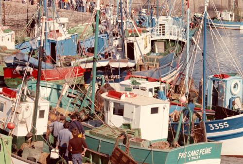 Iconographie - Bateaux en bois dans le port de Saint-Gilles