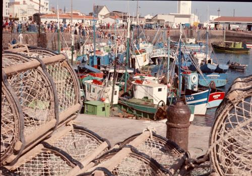 Iconographie - Bateaux en bois dans le port de Saint-Gilles