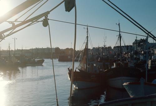 Iconographie - Bateaux en bois dans le port de Saint-Gilles