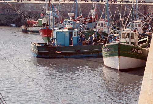 Iconographie - Bateaux en bois dans le port de Saint-Gilles