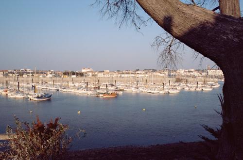 Iconographie - Vue du port de Saint-Gilles