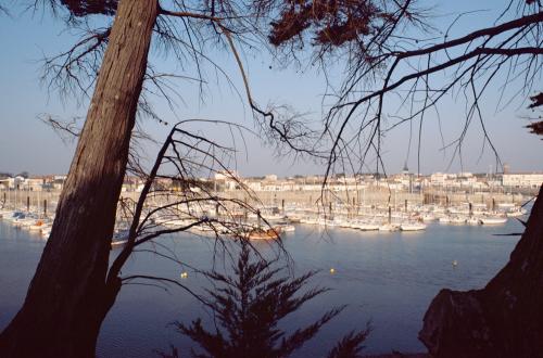 Iconographie - Vue du port de Saint-Gilles