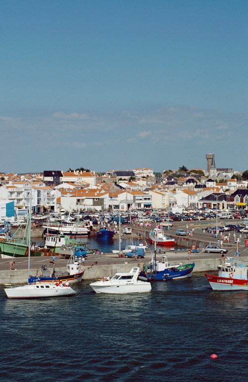 Iconographie - Vue du port de Saint-Gilles