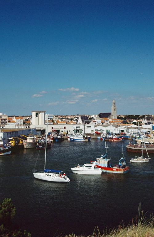 Iconographie - Vue du port de Saint-Gilles