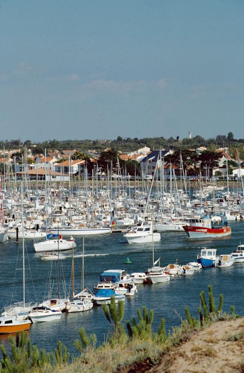 Iconographie - Vue du port de Saint-Gilles