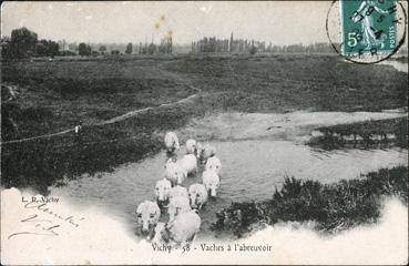 Iconographie - Vaches à l'abreuvoir