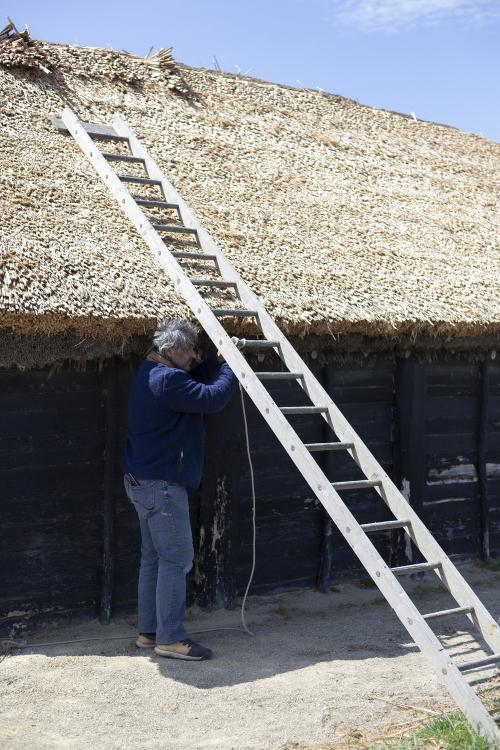 Iconographie - Installation d'échelle pour accéder au toit de la salorge