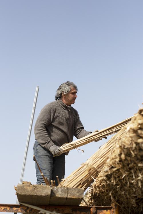 Iconographie - Chaumier travaillant à la réfection de la toiture d'une salorge