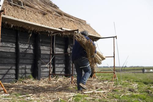 Iconographie - Chaumier travaillant à la réfection de la toiture d'une salorge