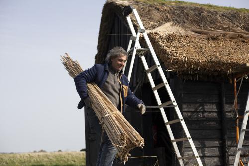 Iconographie - Chaumier travaillant à la réfection de la toiture d'une salorge