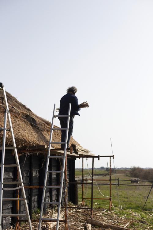 Iconographie - Chaumier travaillant à la réfection de la toiture d'une salorge