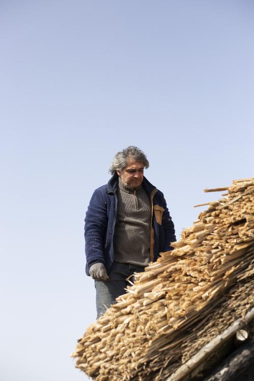 Iconographie - Chaumier travaillant à la réfection de la toiture d'une salorge